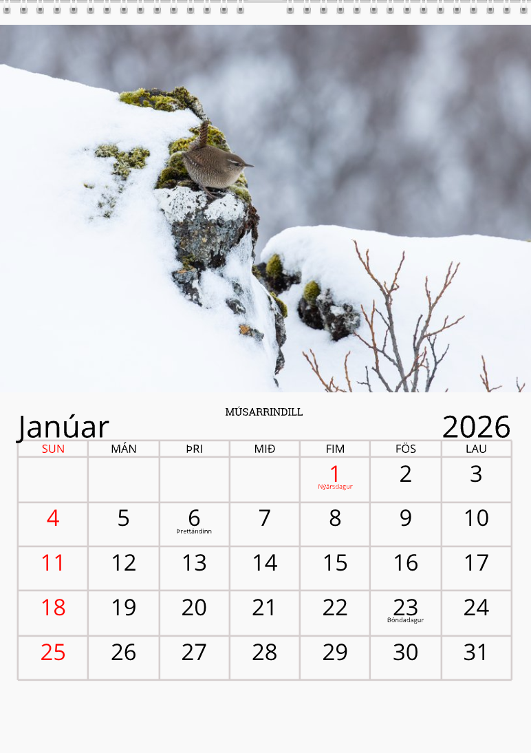 Fugladagatal 2026 (Forsala)