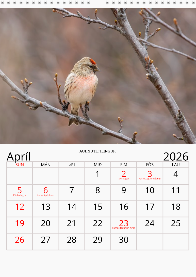 Fugladagatal 2026 (Forsala)