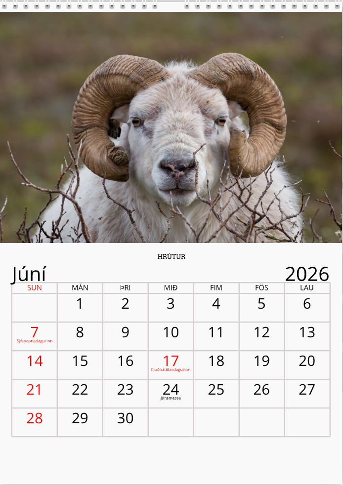 Þingvalladagatal 2026 (Forsala)