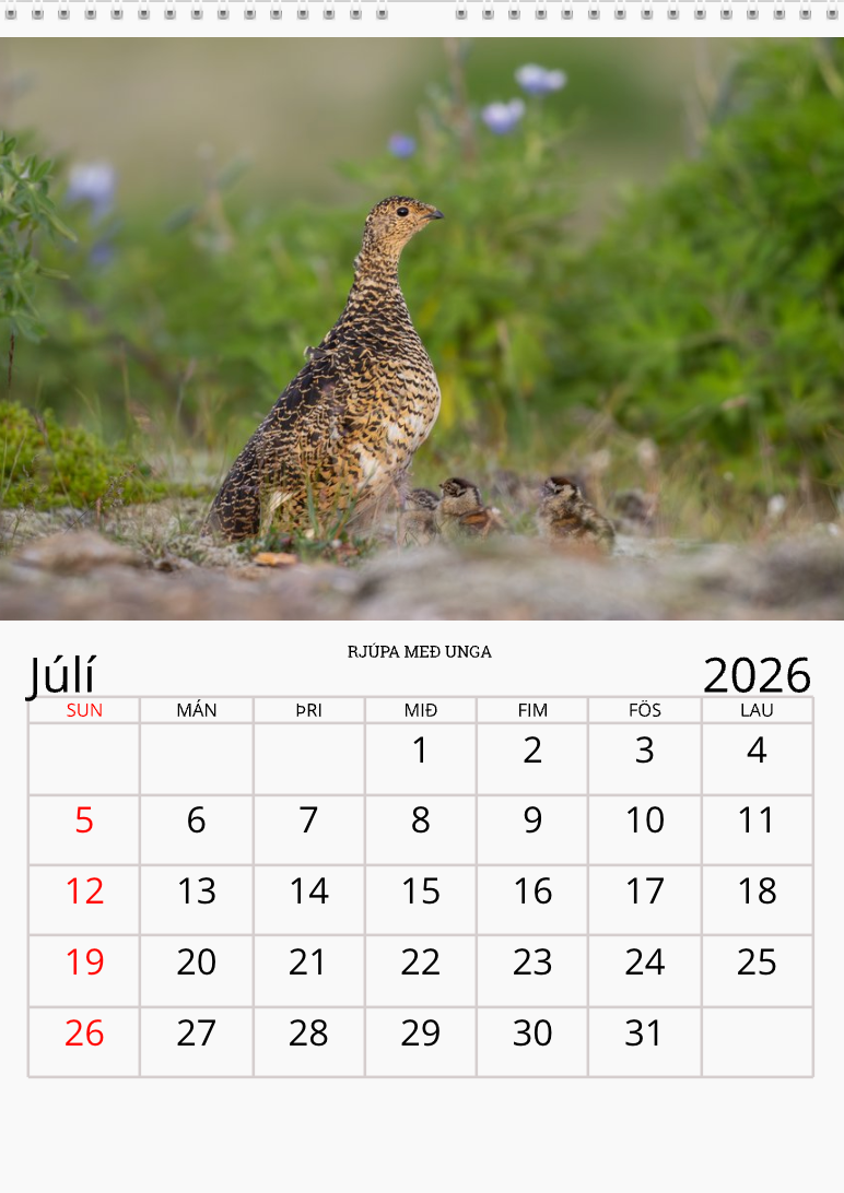 Fugladagatal 2026 (Forsala)