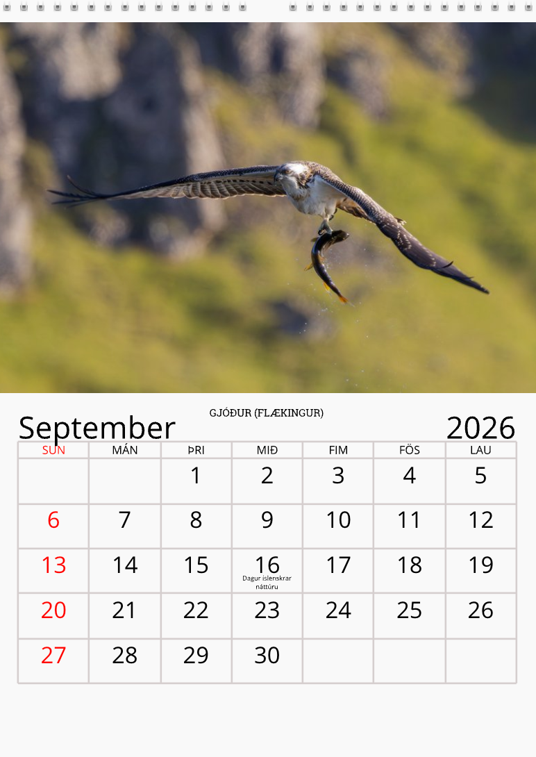 Fugladagatal 2026 (Forsala)